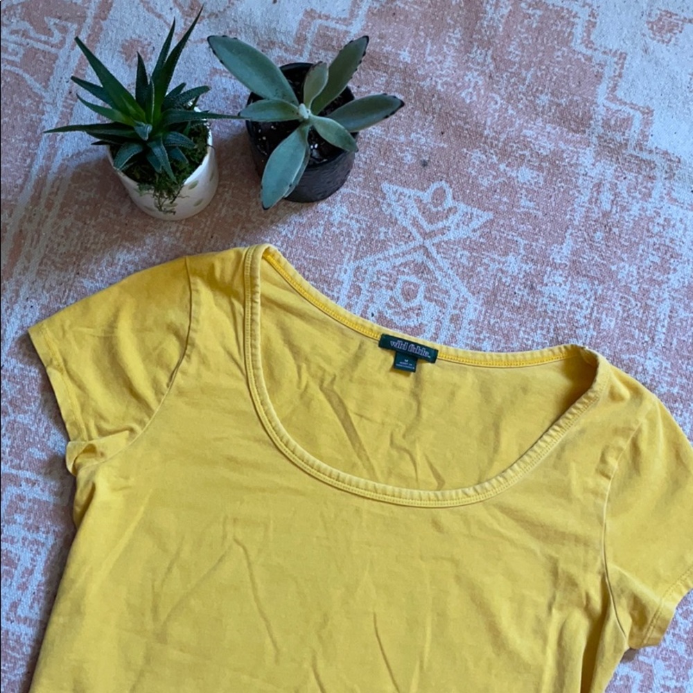 ⭐️3 for 20⭐️ wild fable Cropped Scoop Neck